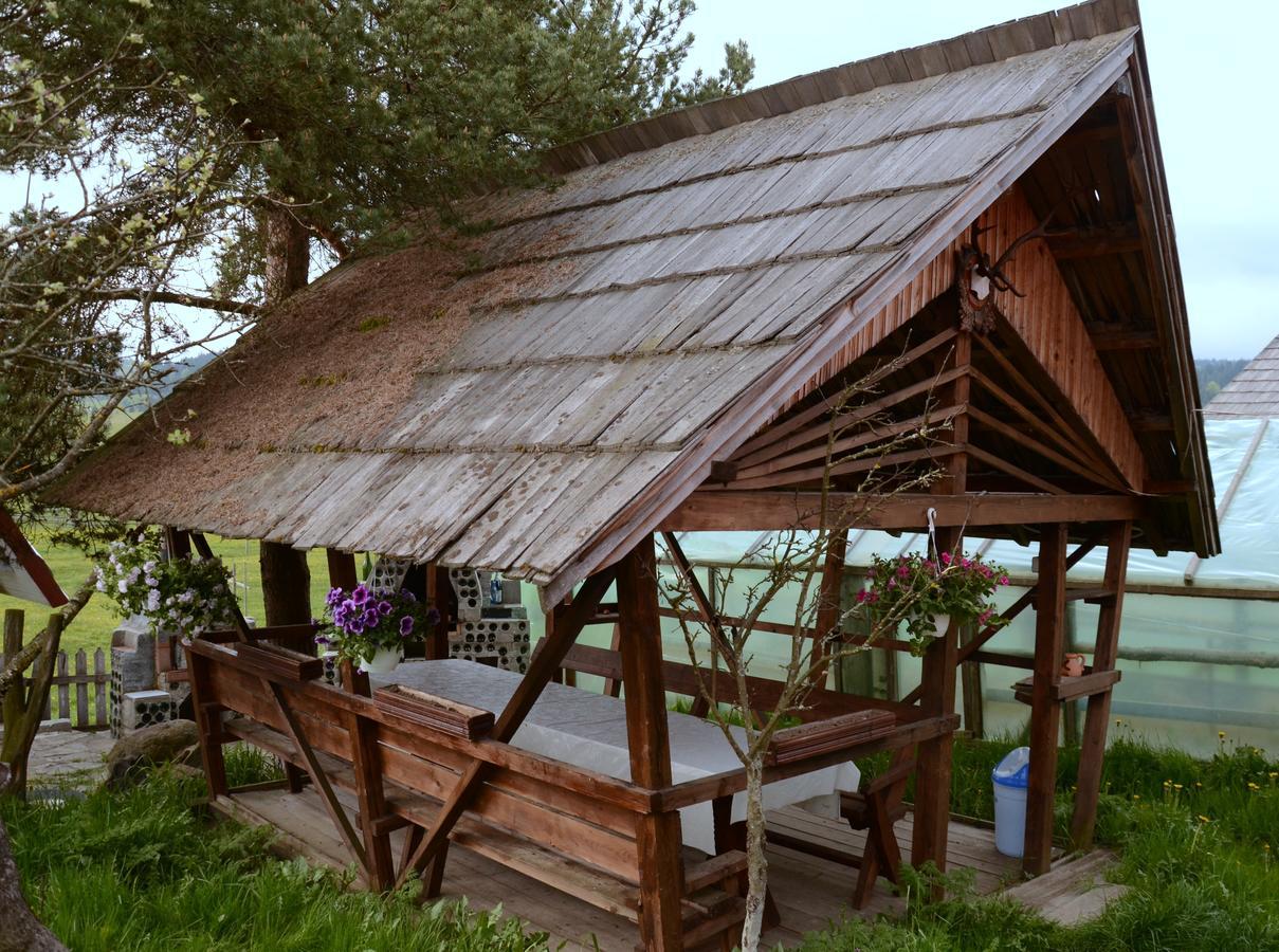 Casa Florea Poiana Stampei Ngoại thất bức ảnh