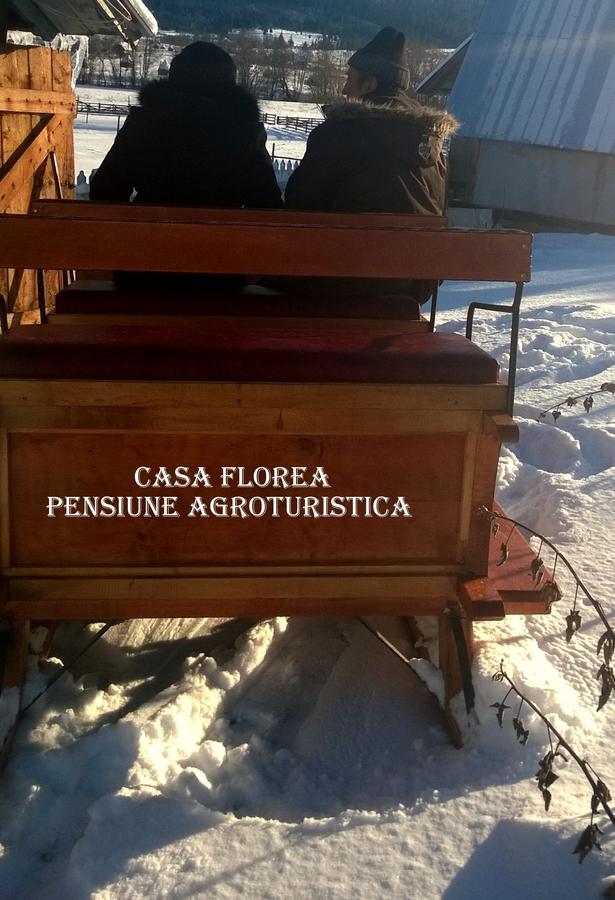 Casa Florea Poiana Stampei Ngoại thất bức ảnh