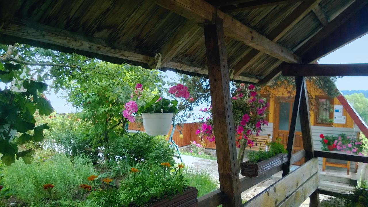Casa Florea Poiana Stampei Ngoại thất bức ảnh