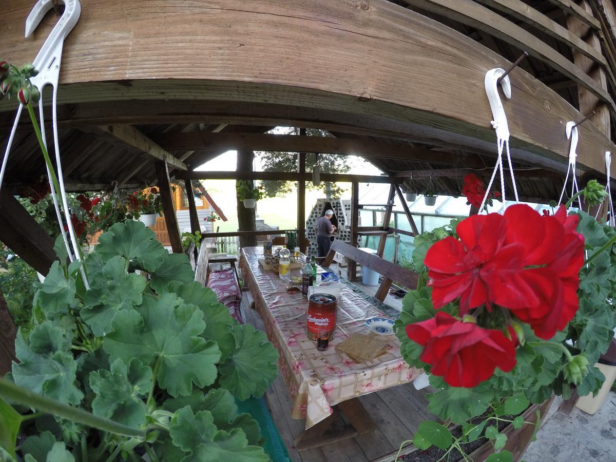 Casa Florea Poiana Stampei Ngoại thất bức ảnh